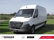 Mercedes Sprinter, 317 Kühlkasten L2H2 MBUX, Jahr 2023 - Wietmarschen