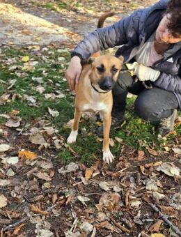 Freundlich klug sozial = GINA ♥️ - München