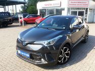 Toyota C-HR, Hybrid Team Deutschland, Jahr 2019 - Greven (Nordrhein-Westfalen)