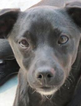 Sten -will die Welt entdecken- - Oldenburg