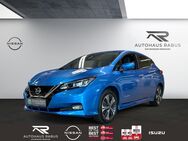 Nissan Leaf, h e Tekna °, Jahr 2020 - Memmingen