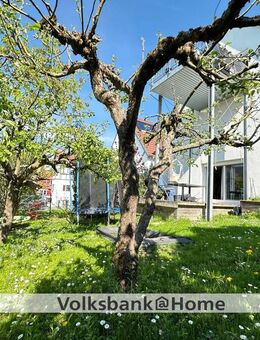 Schöne 3 Zimmer Erdgeschosswohnung mit Gartenanteil und Carport in Rommelsbach - Reutlingen