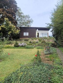 Schönes Paradies in Weinheim - Weinheim