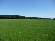 ca. 45,5 ha Ackerland in Badbergen, OT Wehdel u. OT Grönloh, insgesamt oder in Teilflächen zu verkaufen - Badbergen