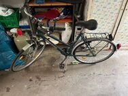 Trekkingrad - Berlin
