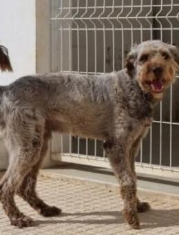 Beethoven - Chemnitz