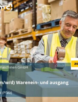 Lagerist (m/w/d) Warenein- und ausgang - Frankenthal (Pfalz)