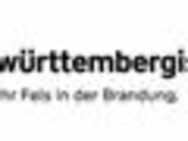 Senior-Projektleiter (m/w/d) IT-Projekte Versicherung