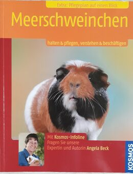 Meerschweinchen von KOSMO - Garbsen