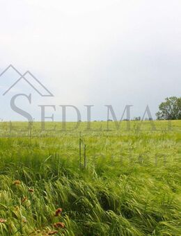 VERKAUF: Gepflegte und grüne Oase in Seefeld - Seefeld (Bayern)