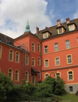 +++ Über den Dächern von Passau +++ - Passau