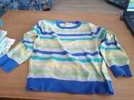 Gestreifter Pulli von Blue Zoo - age 5-6 - Pirmasens