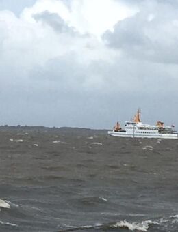 Gänsehaut - Wilhelmshaven