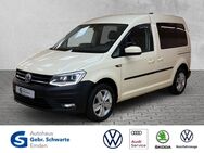 VW Caddy, 2.0 TDI Kombi Trendline Taxi-Paket, Jahr 2019 - Emden