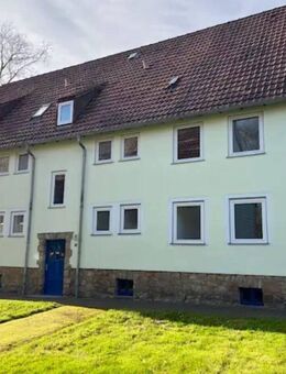 Frisch renovierte 3-Zimmerwohnung in Salzgitter Bad - Salzgitter