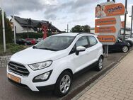 Ford EcoSport, 1.0 EcoBoost C&C WINTER-P, Jahr 2019 - Rutesheim