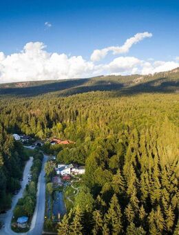 Traumhaftes Anwesen im Zwieseler Waldhaus - großzügig, ruhig & mitten in der Natur - Lindberg