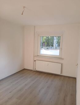 niedliche, neu renovierte 2-Raumwohnung in Regis-Breitingen - Regis-Breitingen