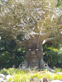 Das kleine Glück verdoppelt sich wenn man es teilt - Dortmund