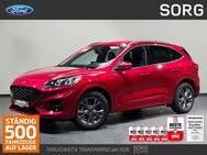 Ford Kuga, 2.0 EcoBlue ST-Line X, Jahr 2024 - Fulda