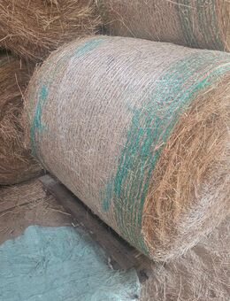 Heu aus 2025 erster Schnitt - Borrentin