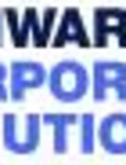 Tax Manager - Steuerbilanzierung & Reporting (m/w/d) - Neckarsulm