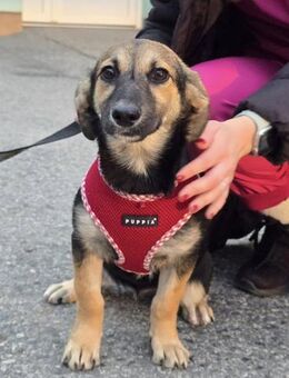 Liberty❤️ - Kissing