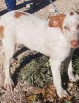 Nimbus ist sehr sozial - Donaueschingen