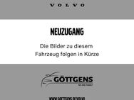 Volvo XC90, T8 Twin Engine Inscription, Jahr 2020 - Soest