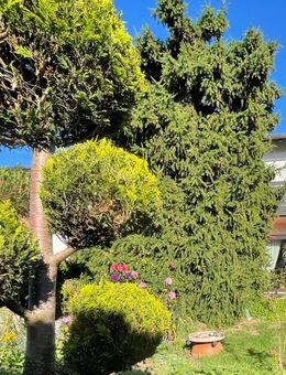 *** VERKAUFT *** Doppelhaushälfte mit Wohnungsrecht für Kapitalanleger und spätere Eigennutzer - Schwindegg