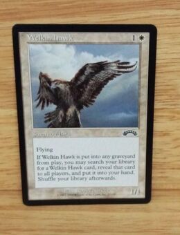 Magic The Gathering-Sammelkarte-Welkin Hawk. - Nörvenich