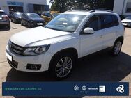 VW Tiguan, 2.0 TDI Cup PARKLENK, Jahr 2014 - Fürstenwalde (Spree)