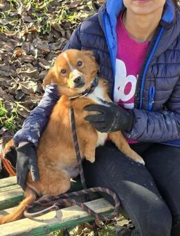 Warmes Plätzchen für Schatz MILEY ♥️ - München