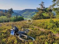 3 volle Tage = BIKEPARK "THE MOTHER" - Winterberg / "MTB ZONE" Willingen - "Green Hill" ... - Ferienappartement für 2 - (IP 1 PP 22) - Medebach (Hansestadt)