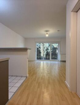 Für Singles: Helle, gepflegte 1-Zimmer-Wohnung im Erdgeschoss, mit Küchenzeile und Terrasse - Paderborn