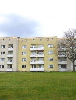 3,5 Zimmer Wohnung in grüner Lage - Herne