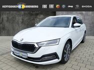 Skoda Octavia 1.4 TSI DSG iV Style KLIMA NAVI LED SHZ KAMERA - Altenkirchen (Westerwald)