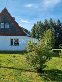 Ein Traum könnte wahr werden - Bretnig-Hauswalde