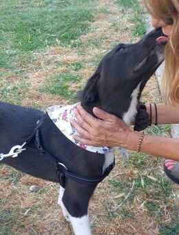 Mara, die Liebesbedürftige - Mettmann