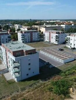 Ihr Wohlfühlort mitten in Cottbus - Cottbus