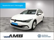 VW Golf Variant, 1.5 TSI Life 02 2rantie, Jahr 2024 - Borna