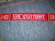 VFB Stuttgart Schal - Erwitte