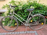 28er Damen CAPRIOLO Sportrad Cityrad 5 Gang Schaltung silber - München