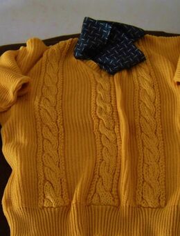 Pullover NEU Gr 38-40 / S-M (?) SEHR !! weiche, feinste Reine Baumwolle, die wie Seide „fliesst“. TOP Qualität. Extravagantes Designerstück. Rotgoldene Farbe ist angenehm. V-Ausschnitt ermöglicht Halstücher. Ein „Hingucker“. Etwas „Besonderes“ - Bad Oeynhausen