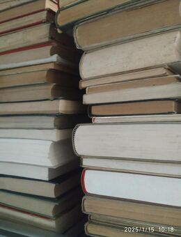 viele alte Bücher WK1 WK2 DR 301-305 - Fulda Zentrum