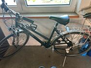 Verkaufe Fahrrad KTM - Knittlingen