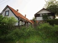 Solides EFH mit Gästehaus und Doppelgarage - Zella-Mehlis