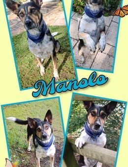 Manolo- wartet in München auf Dich! - Nürnberg