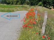 Hof mit 5.804 m² Land in Alleinlage! - Medow