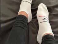 Stinkesocken Femboy - Köln Zentrum